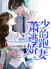 一胎两宝:萧少的逃跑娇妻