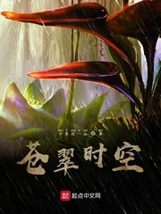 苍翠时空