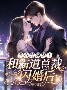 半小时领证!和霸道总裁闪婚后