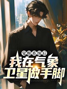 觉醒系统后,我在气象卫星做手脚